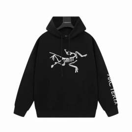 Picture of Arcteryx Hoodies _SKUArcteryxXS-Ltltx09644